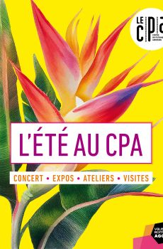 Programme de l'été